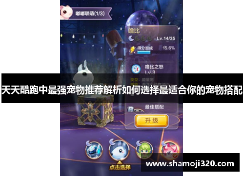 天天酷跑中最强宠物推荐解析如何选择最适合你的宠物搭配