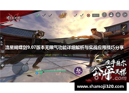 流星蝴蝶剑9.07版本无限气功能详细解析与实战应用技巧分享