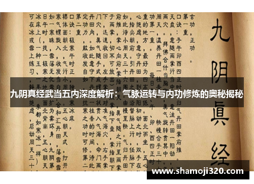 九阴真经武当五内深度解析：气脉运转与内功修炼的奥秘揭秘