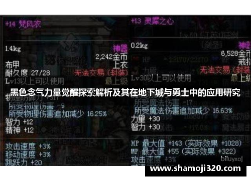 黑色念气力量觉醒探索解析及其在地下城与勇士中的应用研究