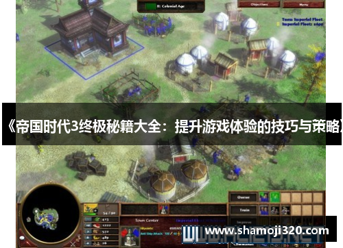 《帝国时代3终极秘籍大全：提升游戏体验的技巧与策略》